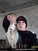 15.5" Black Crappie caught on Cedar Creek 