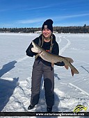 36" Northern Pike caught on Lake of the Woods