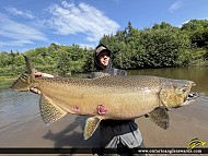 42.2" Chinook Salmon caught on St. Mary’s Rapids