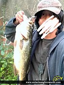 20" Largemouth Bass caught on Rogue Watershed