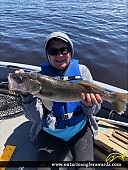 26.5" Walleye caught on Lake of the Woods