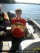 13.25" Yellow Perch caught on Perrault lake