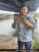 13" Black Crappie caught on Matchedash Bay