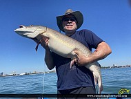 50" Muskie caught on Detroit River