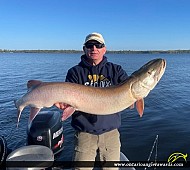 52.75" Muskie caught on Lake of the Woods