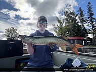 36" Muskie caught on Pigeon Lake