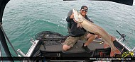 53" Muskie caught on Lake St. Clair