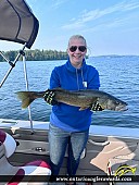 28.5" Walleye caught on Lake of the Woods