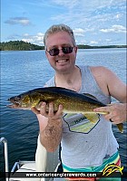 24" Walleye