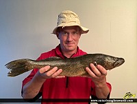 27" Walleye