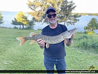 32" Northern Pike