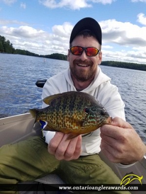 12" Pumpkinseed caught on Charleston Lake