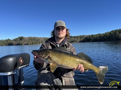 28" Walleye caught on 12 Mile Lake