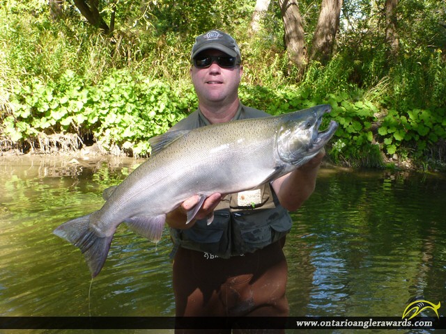 36" Coho Salmon caught on Bowmanville Creek
