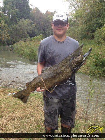 38" Coho Salmon caught on Oshawa Creek