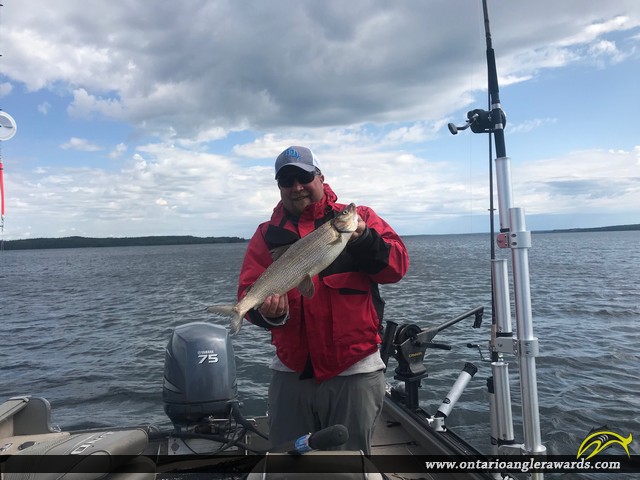 22.75" Whitefish caught on White Otter Lake