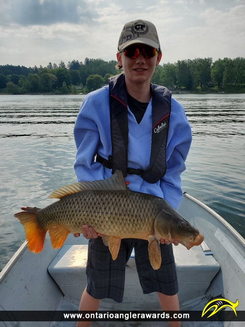36" Carp caught on Conestogo Lake 