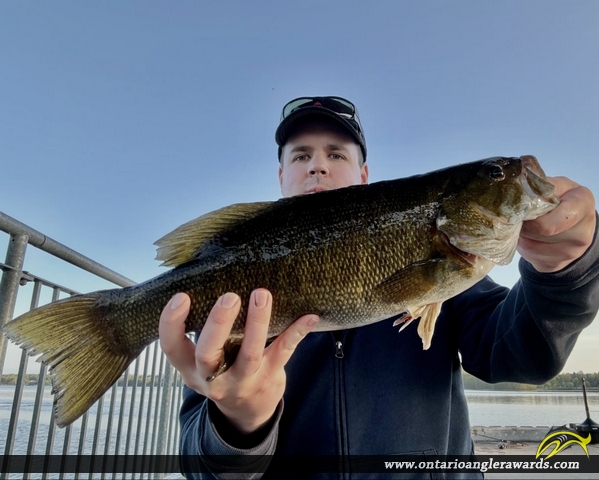 19.5" Smallmouth Bass caught on Lake Nipissing