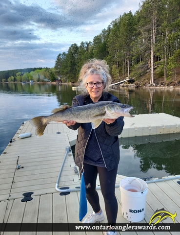 26.25" Walleye caught on Indian Lake Chain