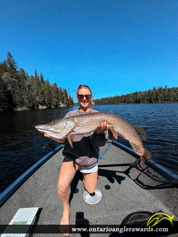 43.75" Northern Pike caught on Red Lake