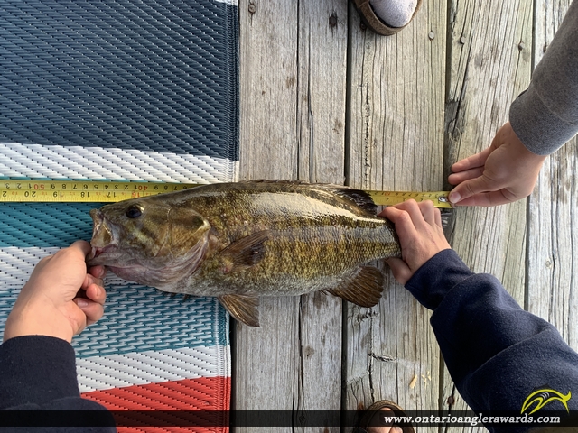 18" Smallmouth Bass caught on Lake of the Woods 