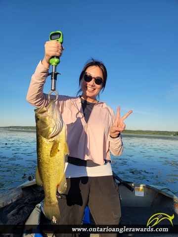 20" Largemouth Bass caught on Rice Lake