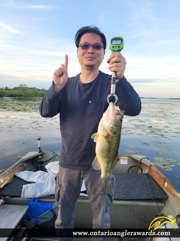 19" Largemouth Bass caught on Rice Lake