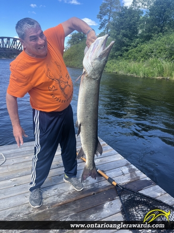 50" Muskie caught on Winnipeg River