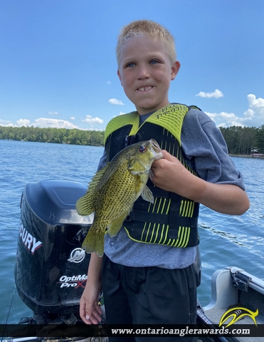 13" Rock Bass caught on Woman Lake