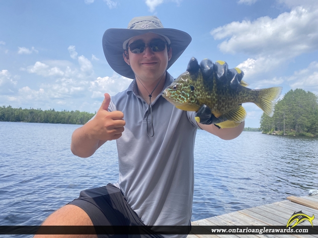 9" Pumpkinseed caught on Chebogamog Lake