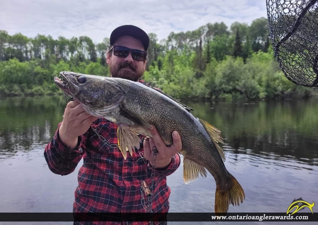 28" Walleye caught on Montreal River