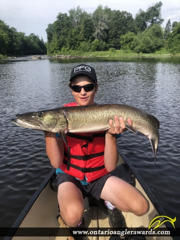 42" Muskie caught on Jock River