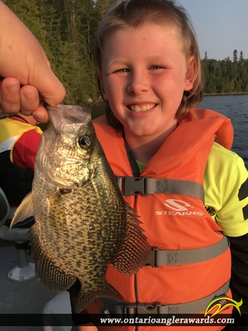 11.2" Black Crappie caught on Rugby Lake