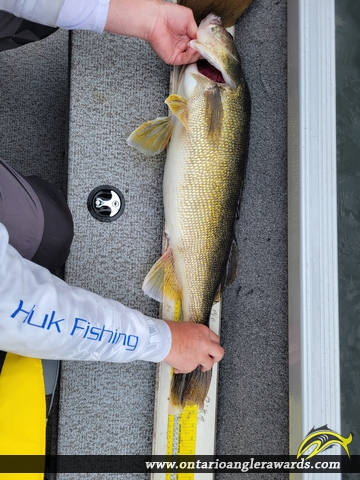 32" Walleye caught on Eagle Lake