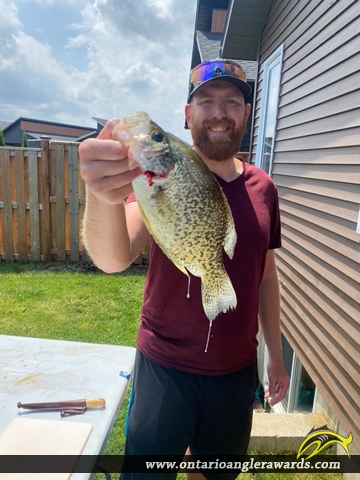 11" Black Crappie caught on Lake Erie