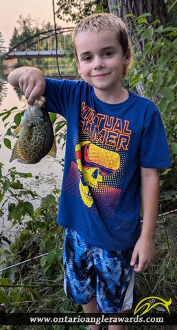 10.5" Black Crappie caught on Raisin River