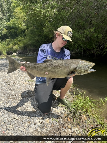 42" Chinook Salmon caught on Lake Ontario 