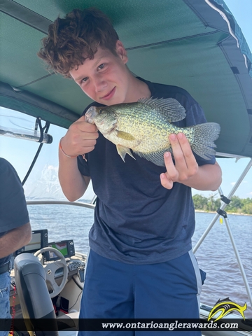 12.5" Black Crappie caught on Lake of the Woods