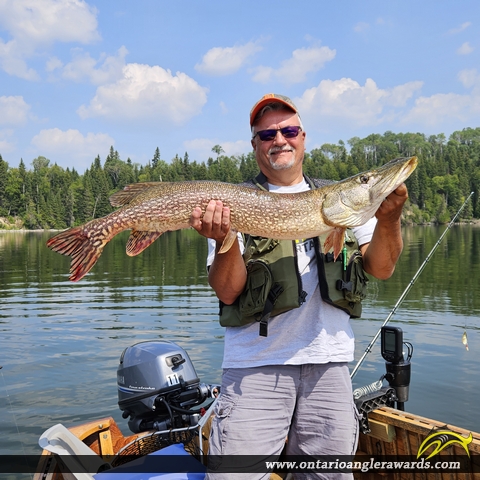 42" Northern Pike caught on Esnagi Lake