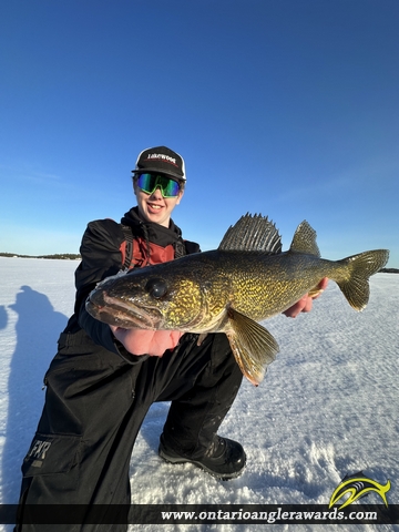 25" Walleye caught on Georgian Bay