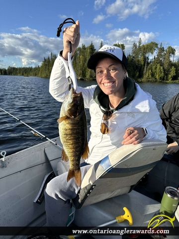 17.75" Smallmouth Bass caught on Firth Lake