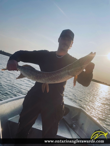 35.25" Northern Pike caught on Lake of the Woods