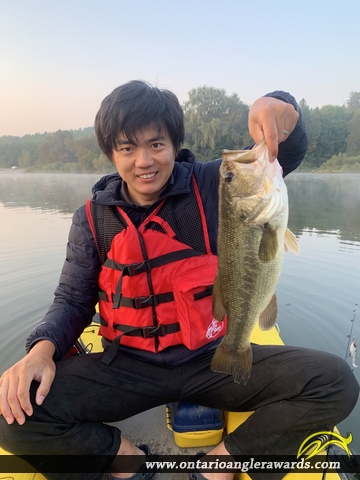 19" Largemouth Bass caught on Guelph Lake 