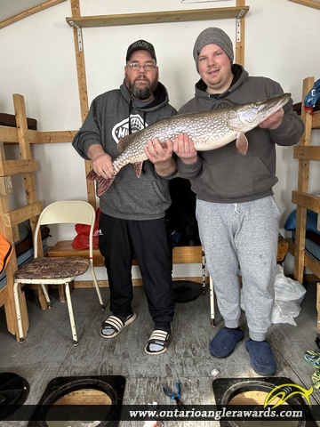 45" Northern Pike caught on Lake Nipissing 