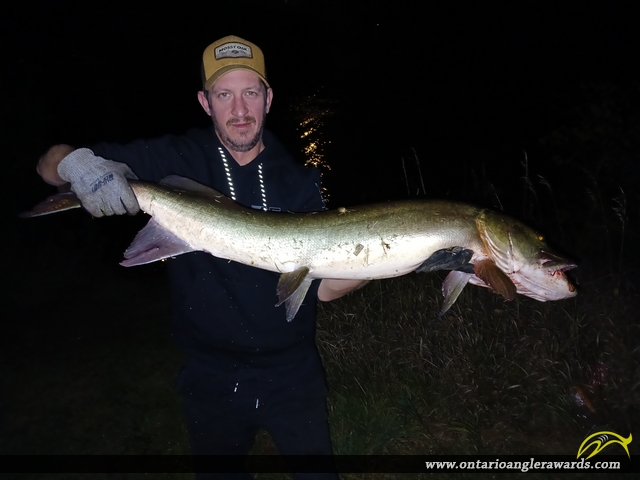 45" Muskie caught on Little lake 