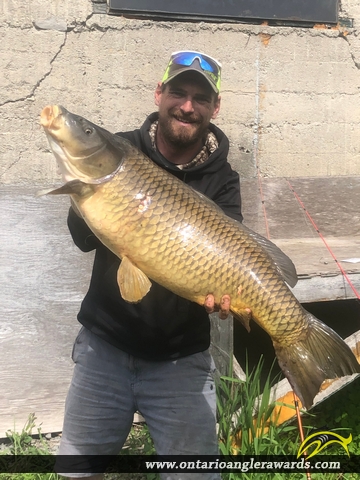 38" Carp caught on Consecon Creek