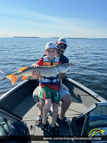 33" Northern Pike caught on Lake Nipissing