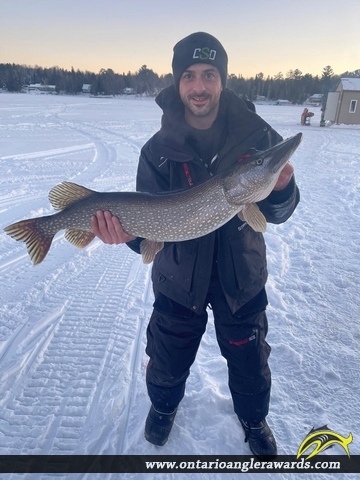 39" Northern Pike caught on Lake Nipissing