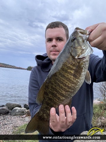 17" Smallmouth Bass caught on Ottawa River