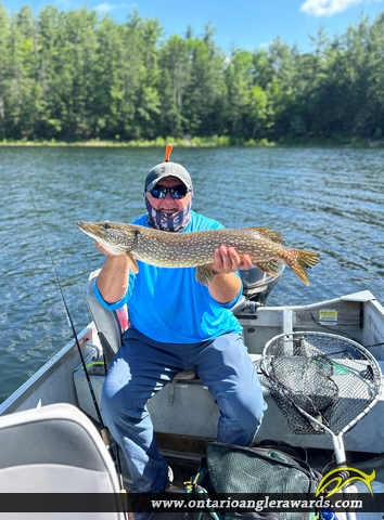 30" Northern Pike caught on Hackford Lake